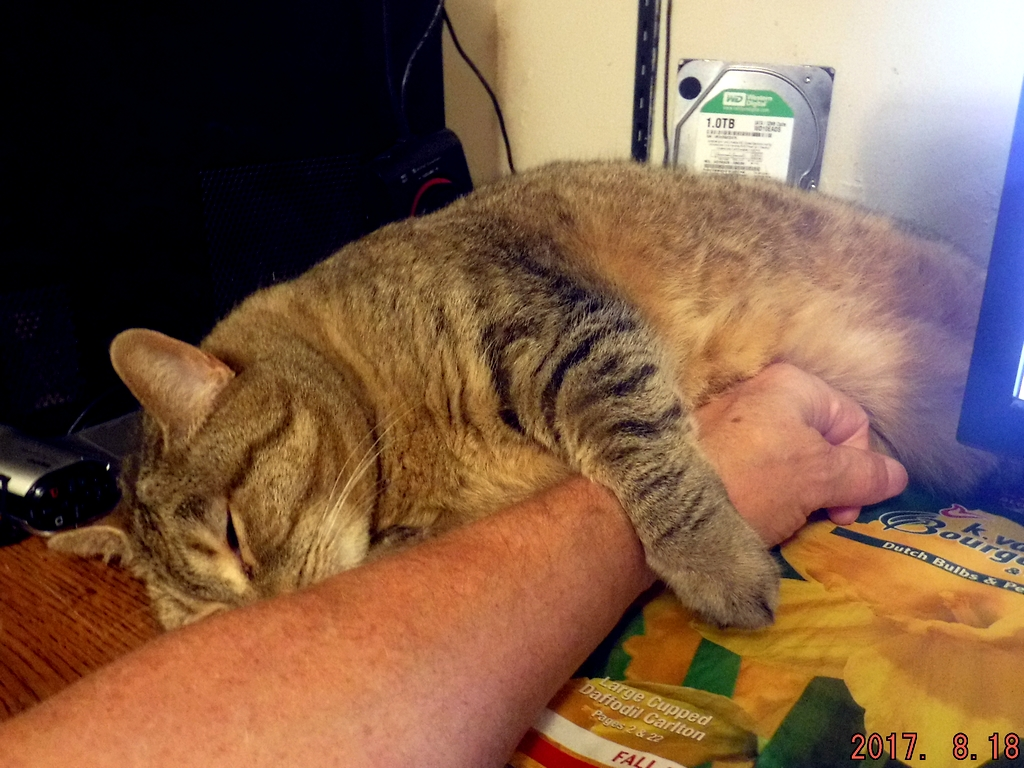 No prob ... you're right handed